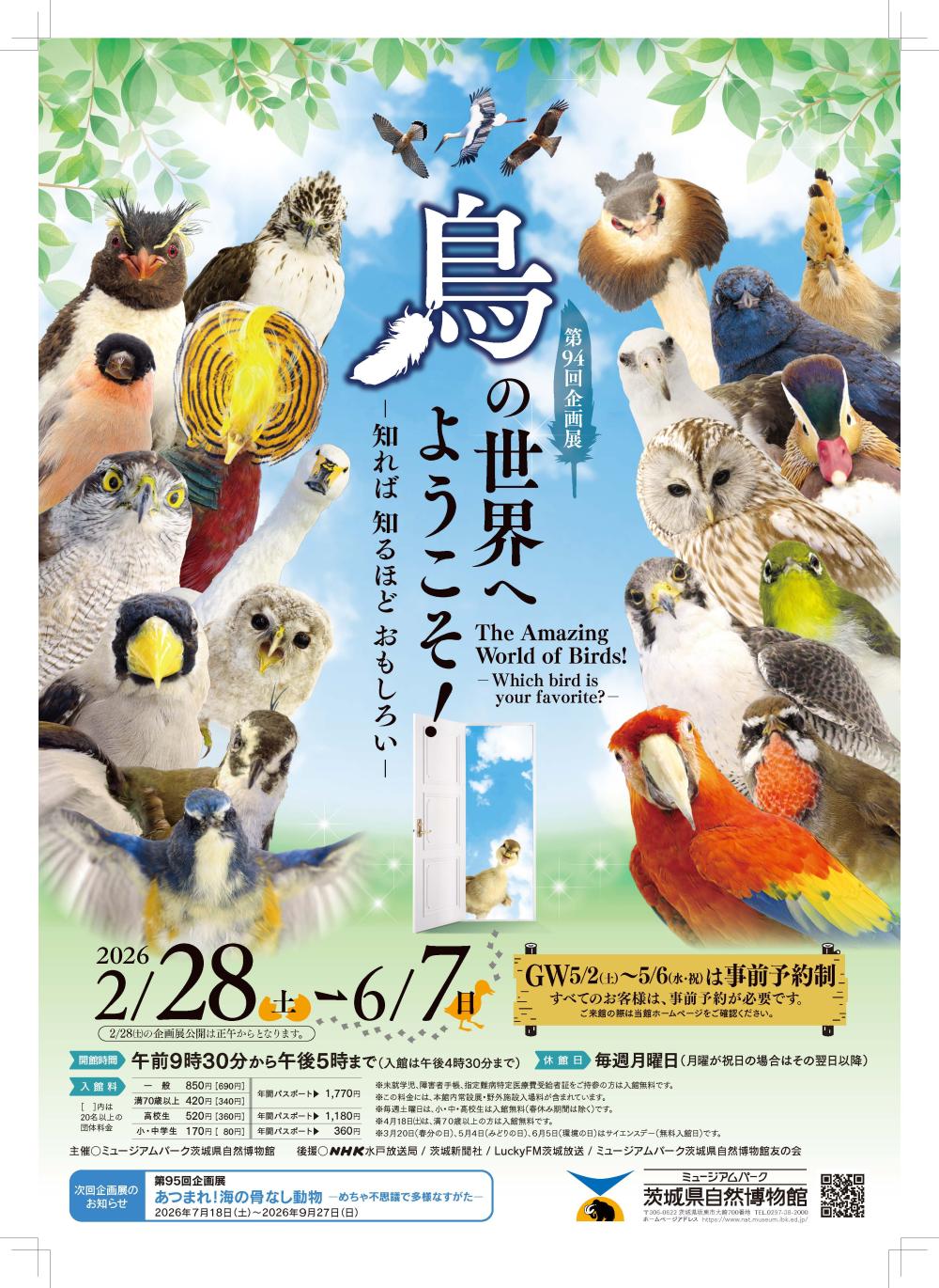 チラシ「 第 9 4 回企画展 鳥の世界へようこそ！ 知れば 知るほど おもしろい 」に関するページ