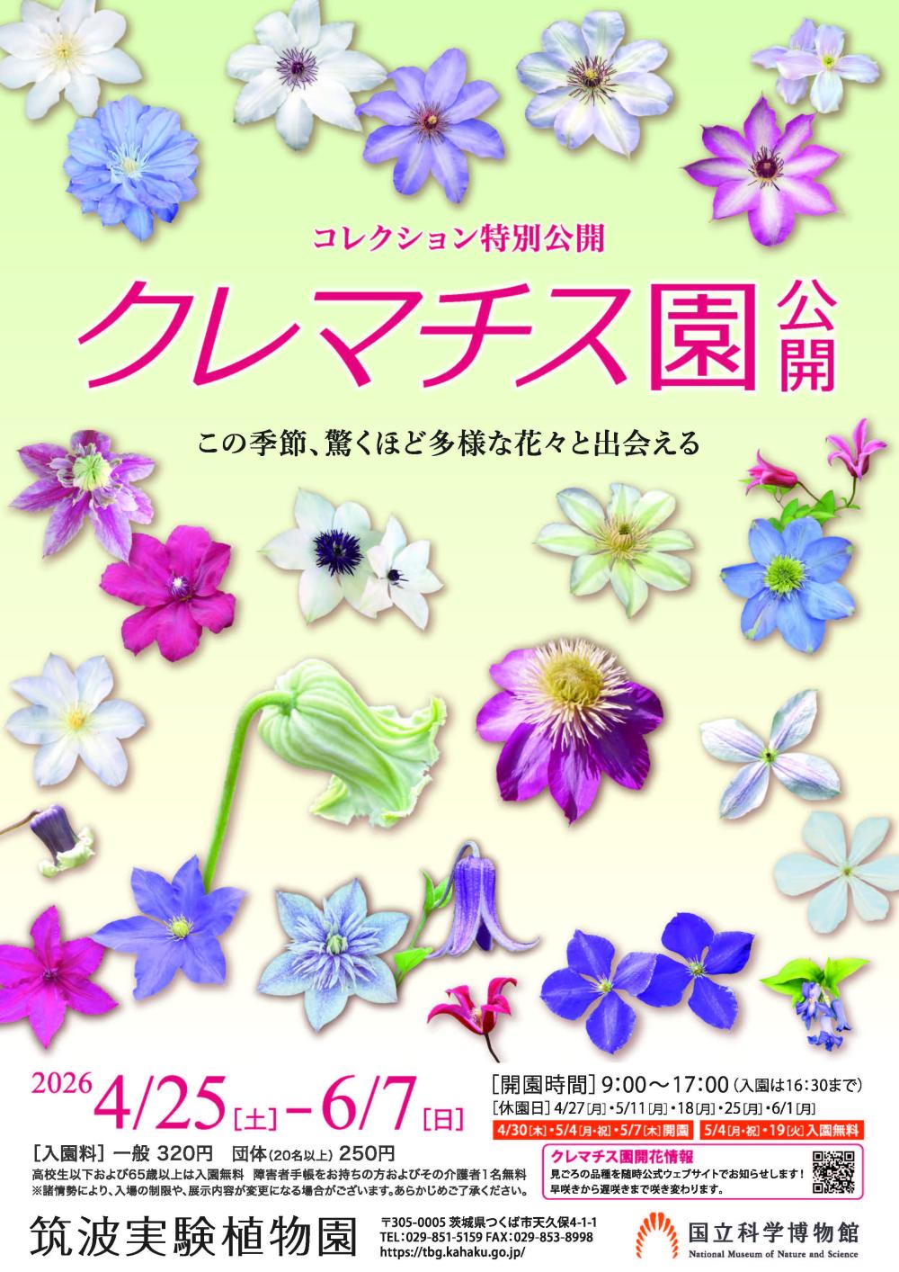 筑波実験植物園 コレクション特別公開「クレマチス園公開」に関するページ