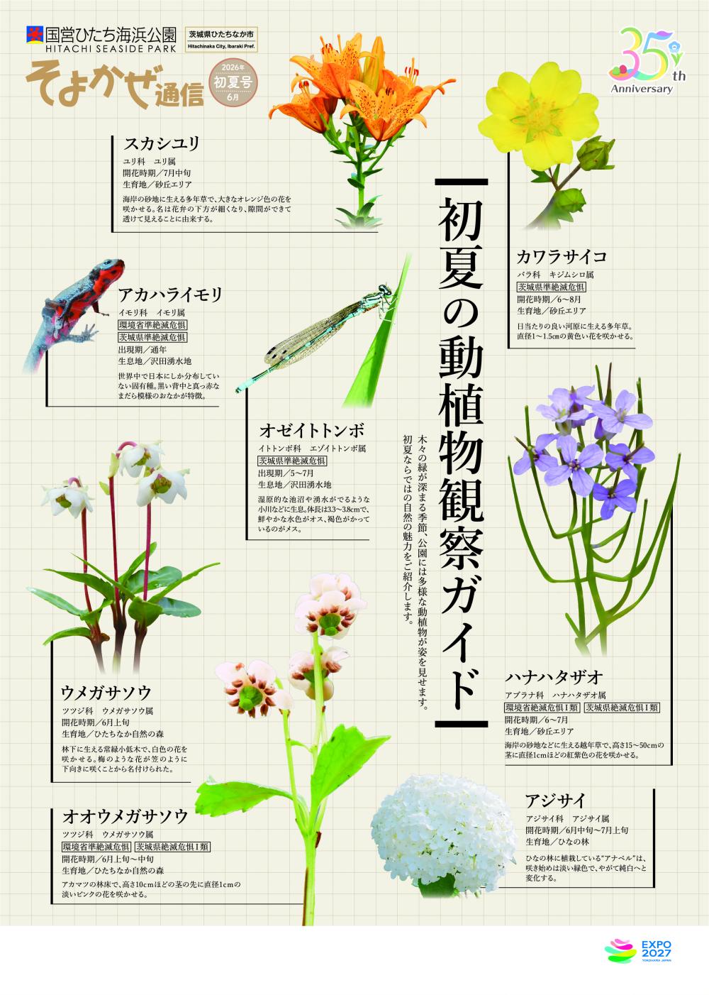 そよかぜ通信初夏号に関するページ
