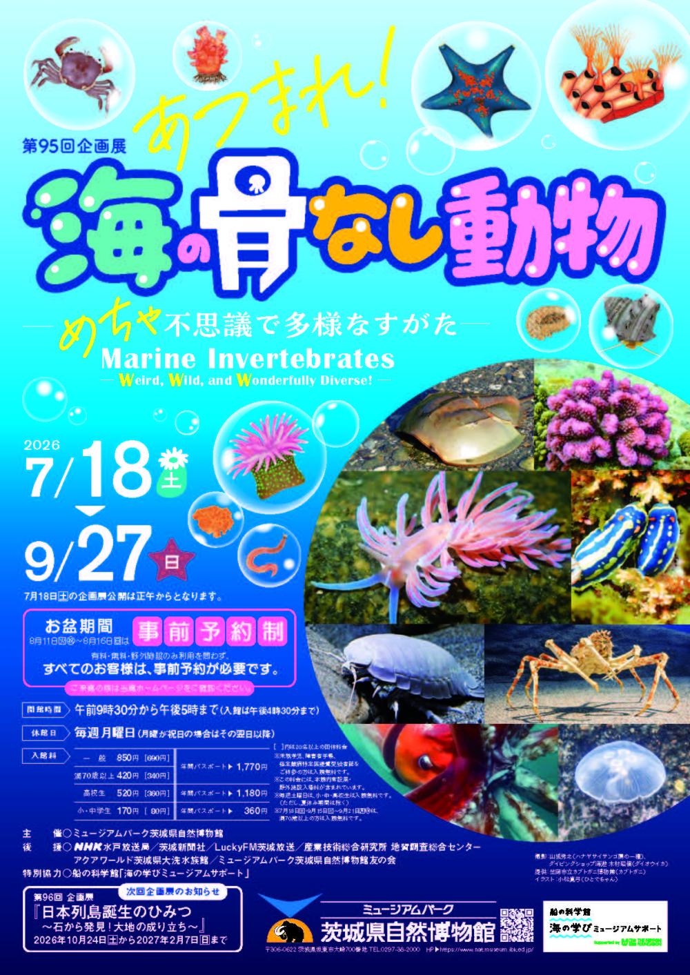 チラシ「第95 回企画展 あつまれ!海の骨なし動物-め ちゃ不思議で多様なすがた-」に関するページ