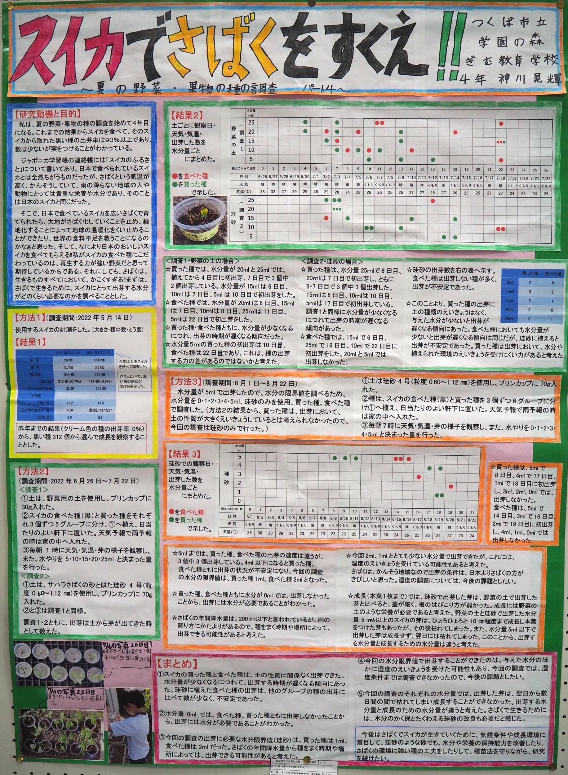 スイカでさばくをすくえ！！