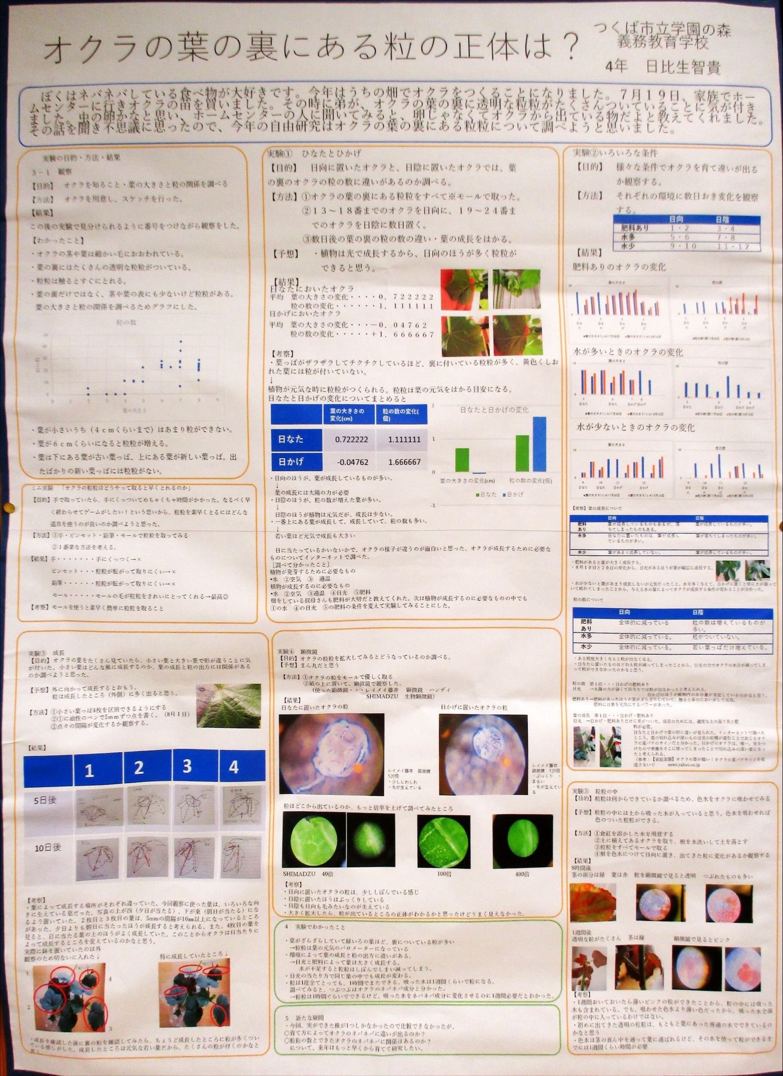Image (14)