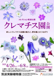 筑波実験植物園 コレクション特別公開「クレマチス園公開」