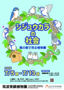 シジュウカラの社会―鳥の眼で見る植物園―