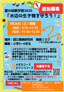 夏の体験学習２０２５ 「水辺の生き物を守ろう！」【追加募集】