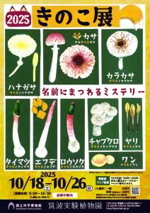企画展「きのこ展」