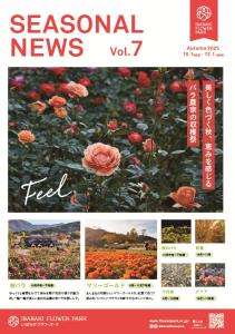 シーズナルニュース（秋）美しく色づく秋、恵みを感じる　バラ農家の収穫祭