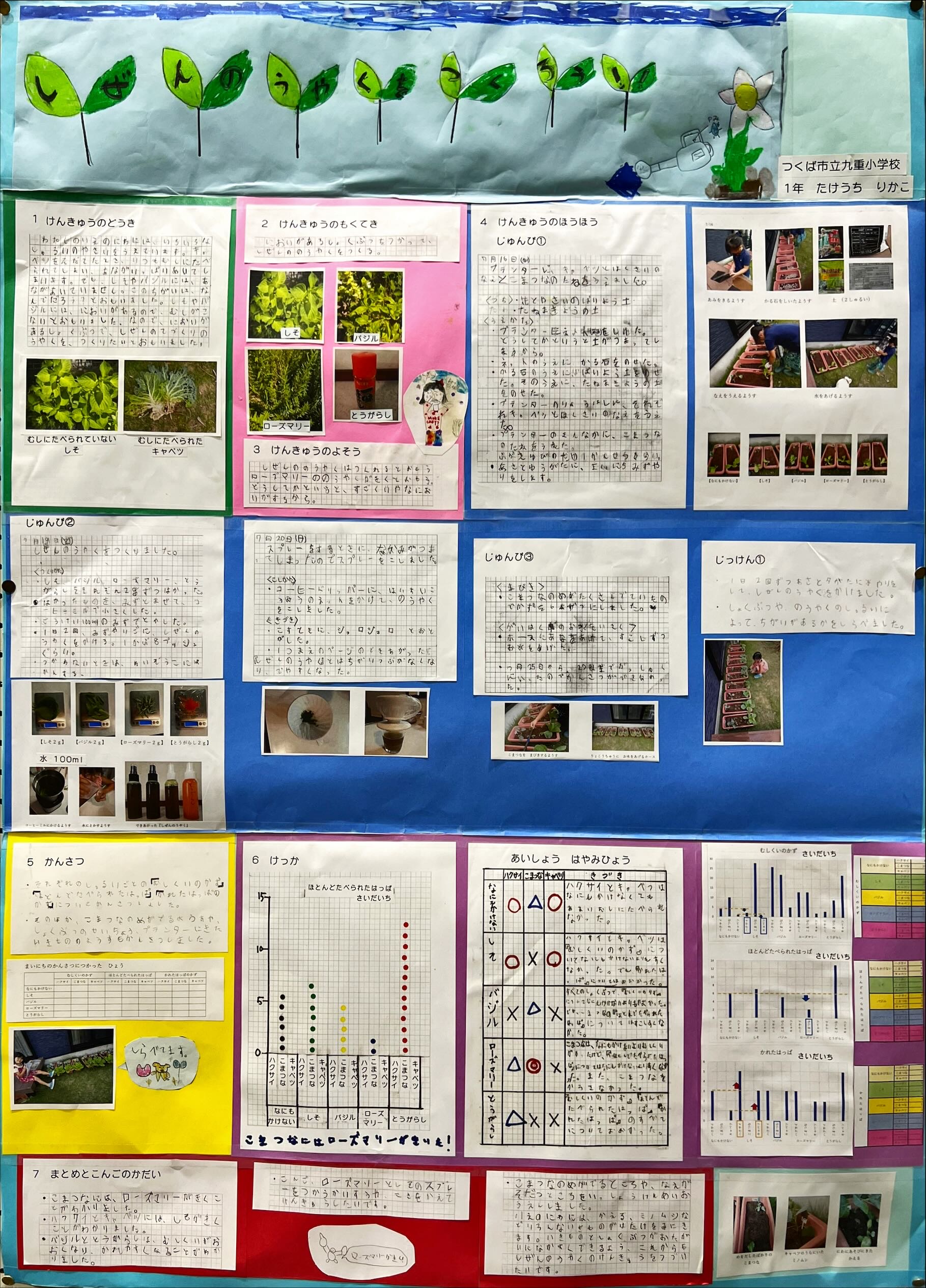 しぜんのうやくをつくろう！