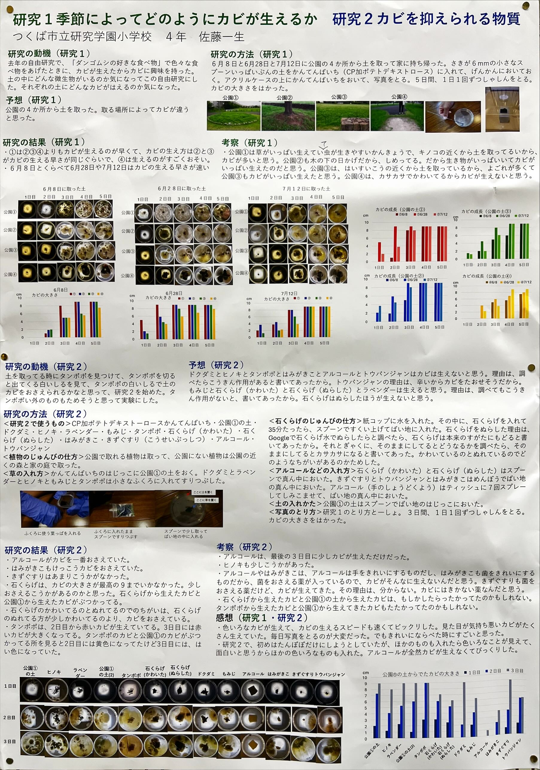 研究1季節によってどのようにカビが生えるか 研究2カビを抑えられる物質