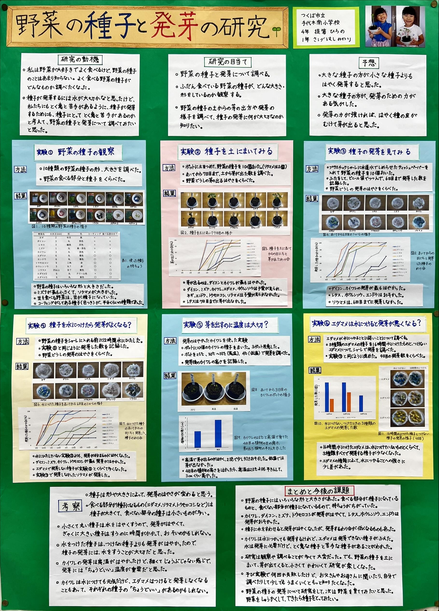 野菜の種子と発芽の研究