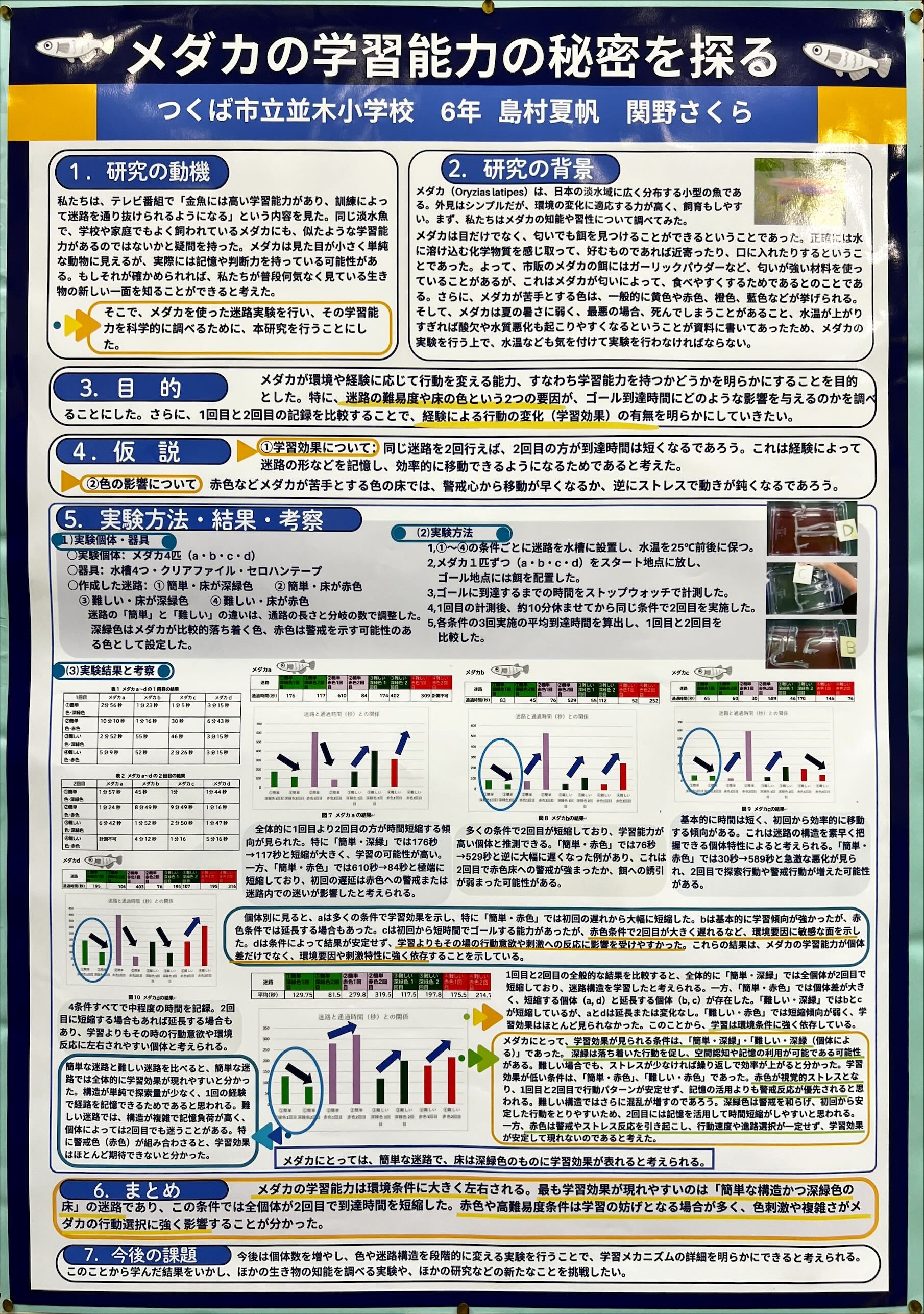 メダカの学習能力の秘密を探る