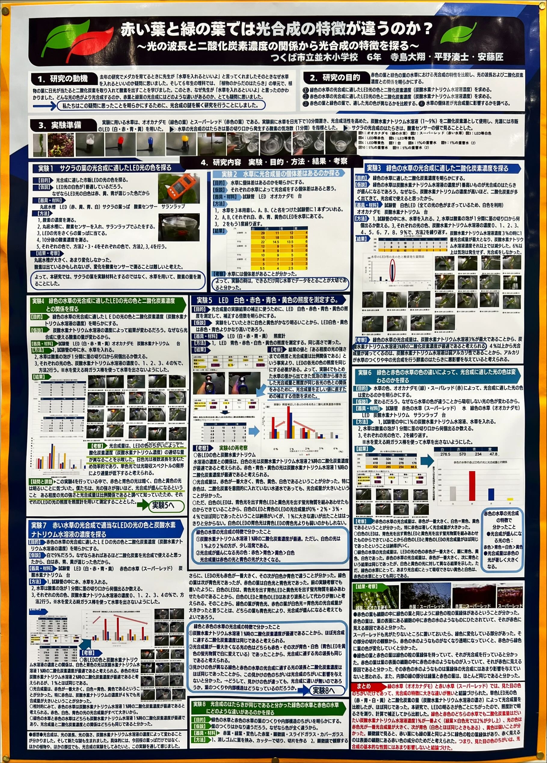 赤い葉と緑の葉では光合成の特徴が違うのか～光の波長と二酸化炭素濃度の関係から光合成の特徴を探る～