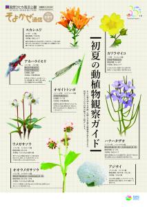 そよかぜ通信初夏号