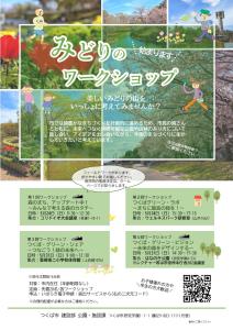 『みどり』のワークショップを開催します!